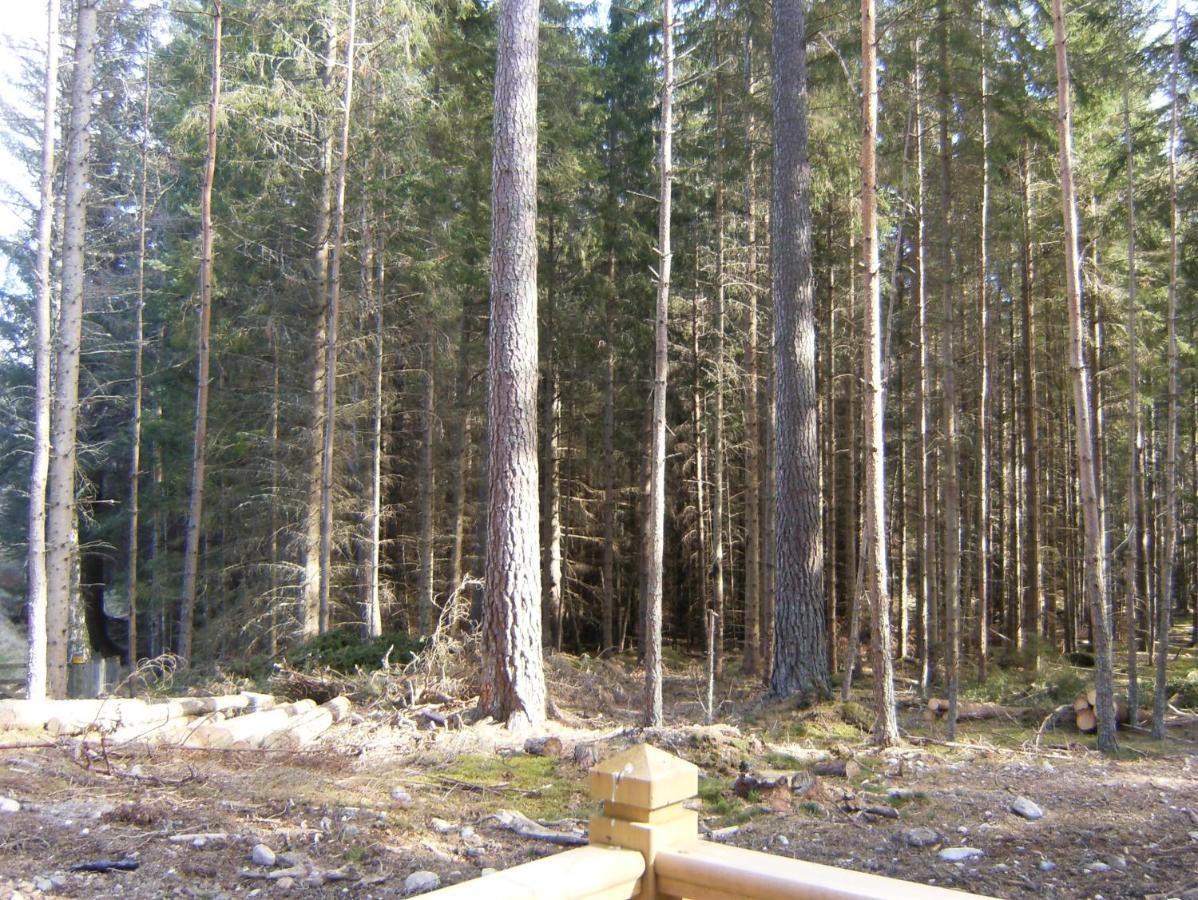 Cairngorm Lodges Aboyne Exterior foto
