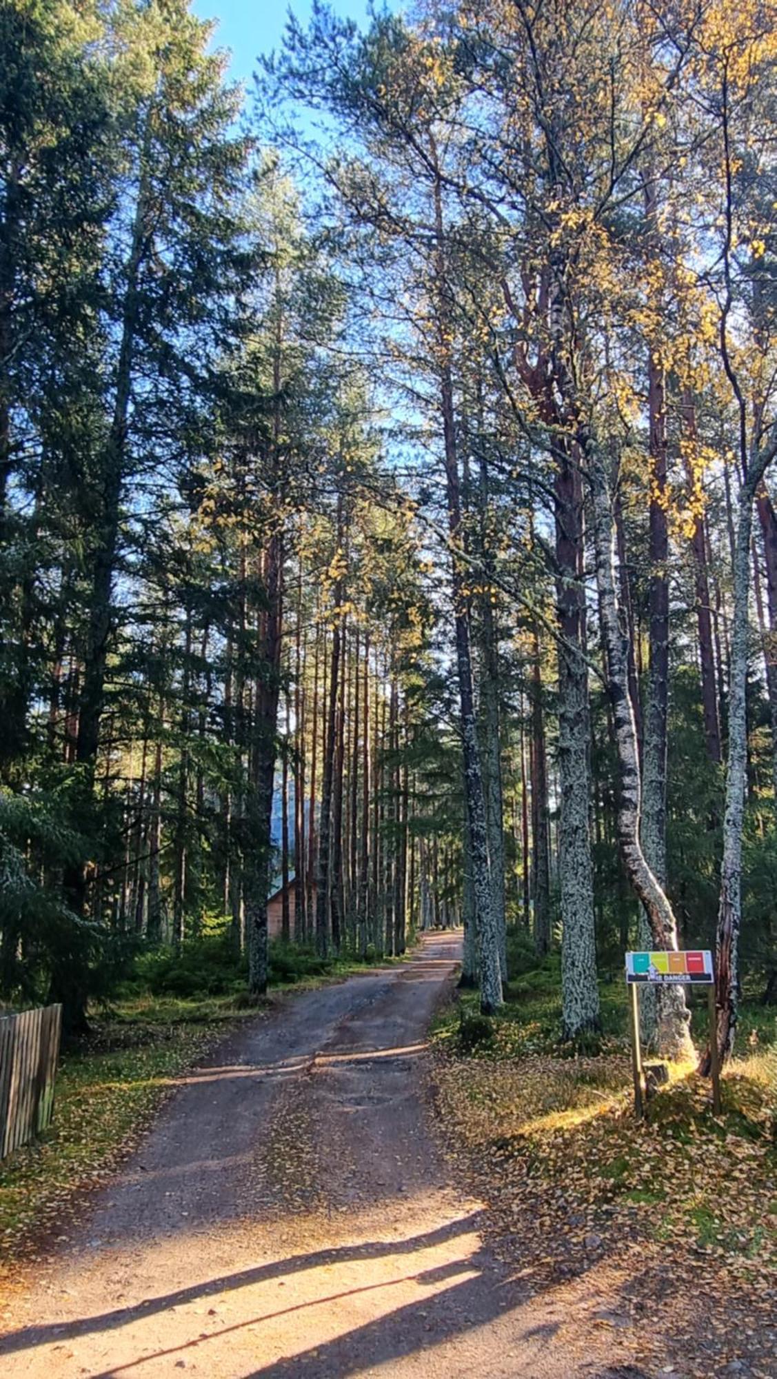 Cairngorm Lodges Aboyne Exterior foto
